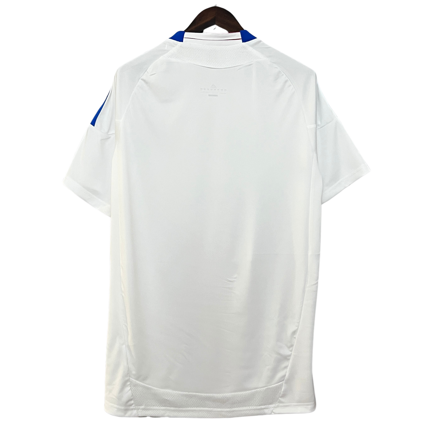 Olympique Lyonnais Retro 10/11 Home