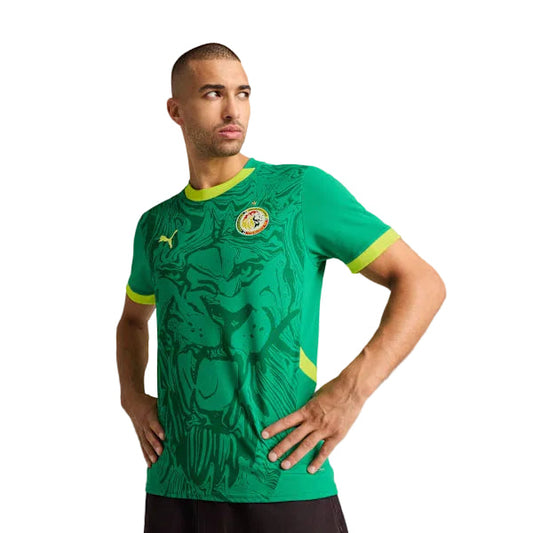 Senegal Away 25/26 Jersey